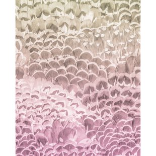 Fotobehang Pale Feathers - Roze - 2,50m X 200cm