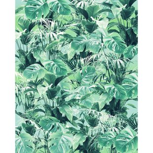 Fotobehang Evergreen - Groen - 2,50m X 200cm