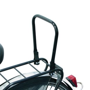 Dresco Inklapbare Kinderrugsteun