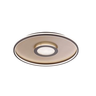 Fischer & Honsel Plafondlamp Bug Goud Rond 46w