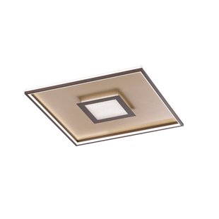 Fischer & Honsel Plafondlamp Bug Goud Vierkant 45w