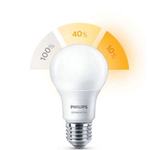 Philips Ledlichtbron Warm Wit E27 13w