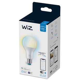 Wiz Ledlamp A67 Warm En Koelwit E27 13w