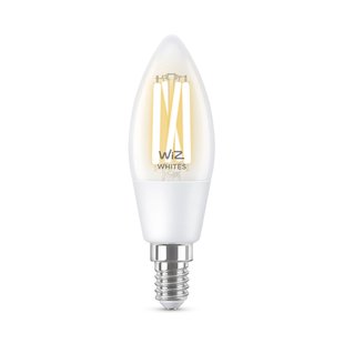 Wiz Ledfilamentlamp Kaars C35 Warm En Koelwit E14 4,9w