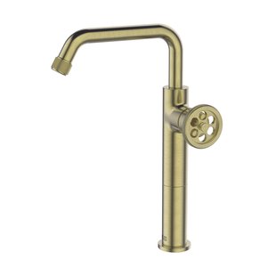 Essebagno Wastafelkraan Indus Hoog Goud Geborsteld