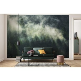 Fotobehang Misty Crowns - Groen - 2,50m X 350cm