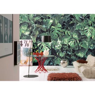 Fotobehang Verdure - Groen - 2,54m X 368cm