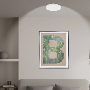 Briloner LED plafondlamp Kaida, wit, Ø 30 cm, EEK A, 4.000 K