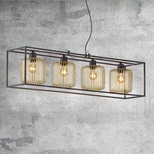 FISCHER & HONSEL Hanglamp Caydo, matzwart/goud, lengte 110 cm, 4-lamps.