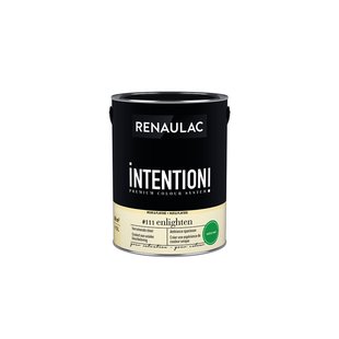 Renaulac Intention Muurverf - Extra Mat - Enlighten - 5l