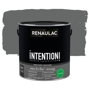 Renaulac Intention Muurverf - Extra Mat - Feelin' Strong - 2,5l