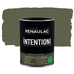 Renaulac Intention Muurverf - Extra Mat - Forest Bathing - 1l