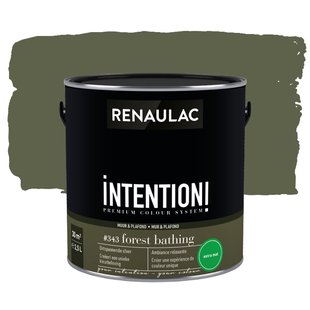 Renaulac Intention Muurverf - Extra Mat - Forest Bathing - 2,5l