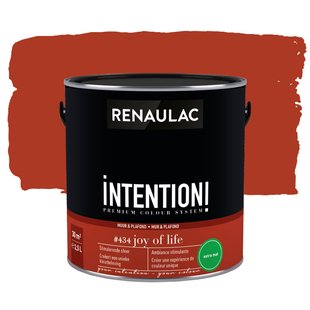 Renaulac Intention Muurverf - Extra Mat - Joy Of Life - 2,5l
