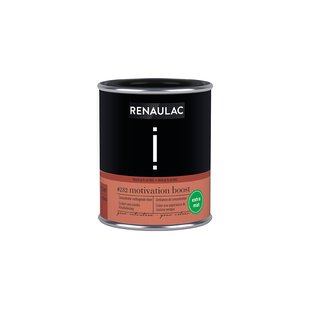 Renaulac Intention Verftester - Extra Mat - Motivation Boost - 125ml