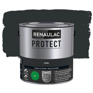 Renaulac Protect Muurverf - Mat - Coal - 2,5l