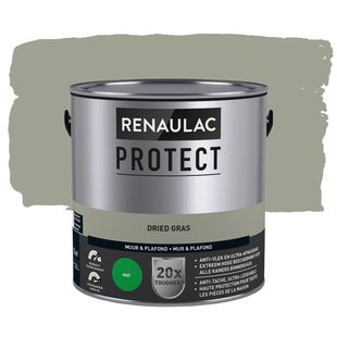 Renaulac Protect Muurverf - Mat - Dried Grass - 2,5l