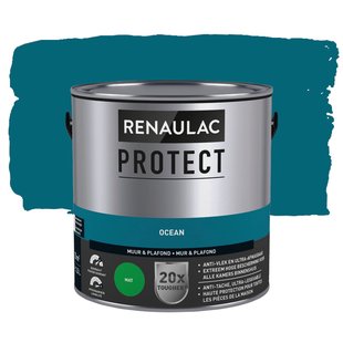Renaulac Protect Muurverf - Mat - Ocean - 2,5l