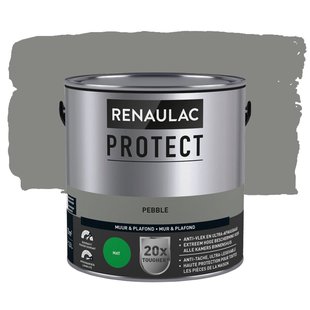 Renaulac Protect Muurverf - Mat - Pebble - 2,5l