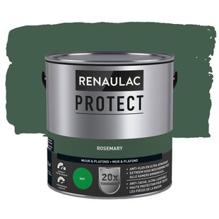 Renaulac Protect Muurverf - Mat - Rosemary - 2,5l