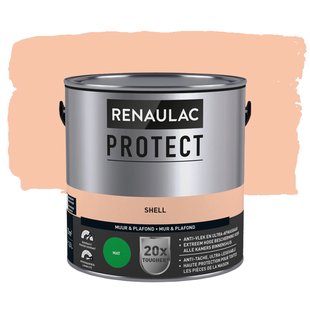 Renaulac Protect Muurverf - Mat - Shell - 2,5l