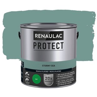 Renaulac Protect Muurverf - Mat - Stormy Sea - 2,5l