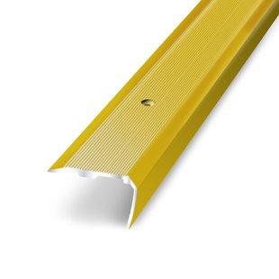 3m Aluminium Trapneus Met Gouden Strepen 36mmx18mm/170cm