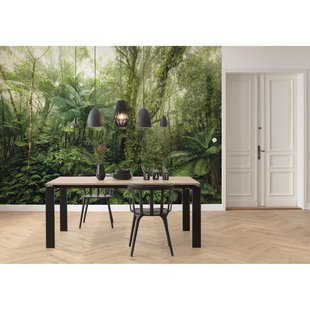 Fotobehang Mindfulness - Groen - 2,50m X 350cm