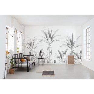 Fotobehang Musa - Zwart - 2,80m X 400cm