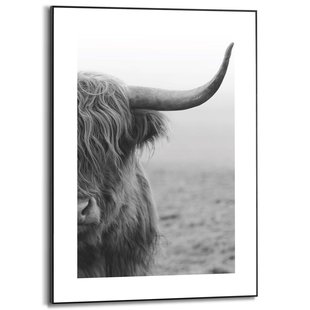 Schilderij Schotse Hooglander Zwat-wit 50x70cm