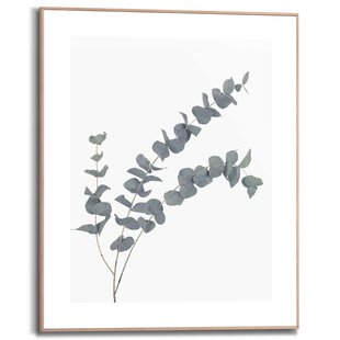 Schilderij Eucalyptus Tak Groen 40x50cm