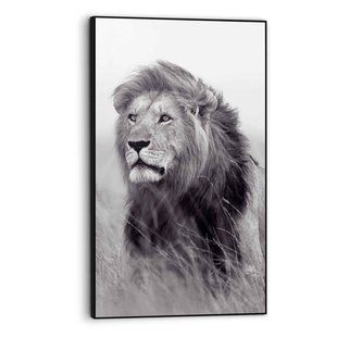Art Frame Leeuw Op Savanne Zwart-wit 70x118cm