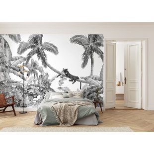 Fotobehang Black Panther - Wit - 2,50m X 350cm