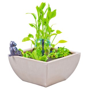 Watertuin Set Vierkant Wit 75x75