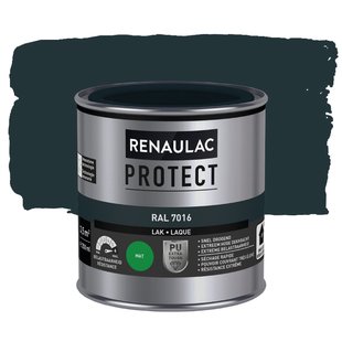Renaulac Houtlak Protect - Mat - Antracietgrijs Ral 7016 - 250ml