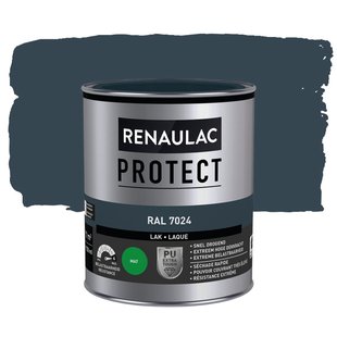 Renaulac Lak Protect Ral7024 Mat 750ml