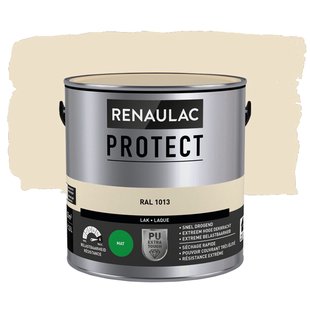 Lak Renaulac Protect Ral1013 Mat 2,5l