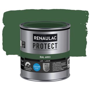 Renaulac Lak Protect Ral6003 Zijdeglans 250ml