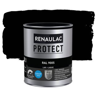 Renaulac Lak Protect Ral9005 Zijdeglans 750ml