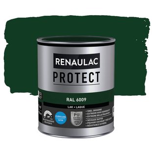 Renaulac Lak Protect Ral6009 Zijdeglans 750ml