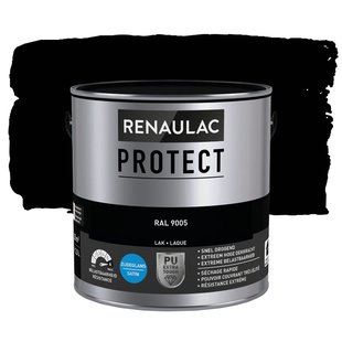 Lak Renaulac Protect Ral9005 Zijdeglans 2,5l