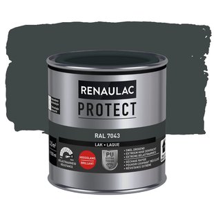 Renaulac Lak Protect Ral7043 Hoogglans 250ml