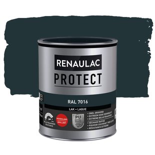 Renaulac Lak Protect Ral7016 Hoogglans 750ml
