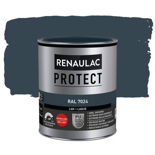 Renaulac Lak Protect Ral7024 Hoogglans 750ml