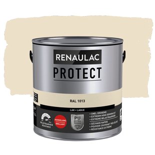 Lak Renaulac Protect Ral1013 Hoogglans 2,5l