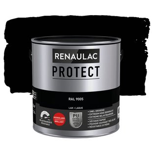 Lak Renaulac Protect Ral9005 Hoogglans 2,5l