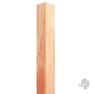 Elephant Tuinpaal Vierkant Geschaafd - Douglas - 50x50mm - Lengte 200cm