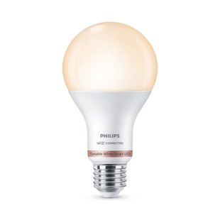 Philips Slimme Ledlamp A67 E27 13w