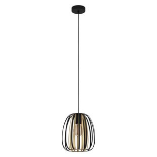 Eglo Hanglamp Encinitos 1xe27 Zwart 255mm