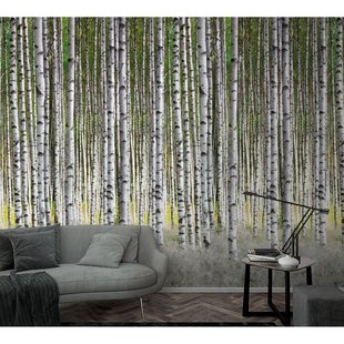 Fotobehang Berkenbos - Off-white - Groen - Grijs - 2,70m X 159cm
